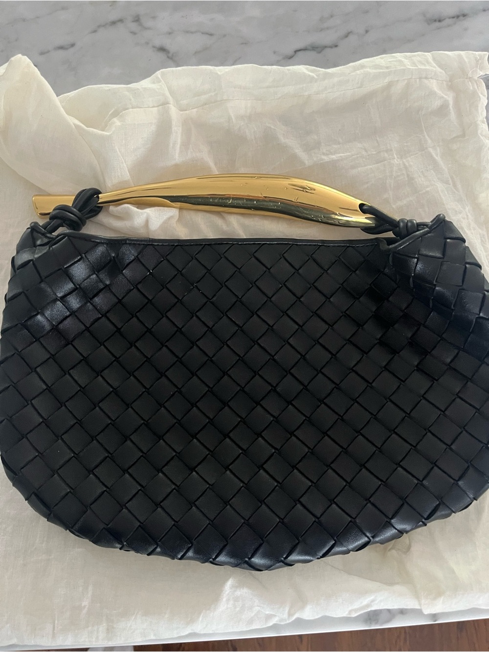 BOTTEGA VENETA SARDINE BAG!!! Not the mini!!